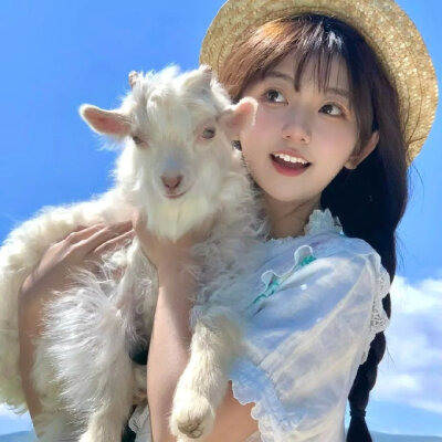 ❤一块甜饼❤