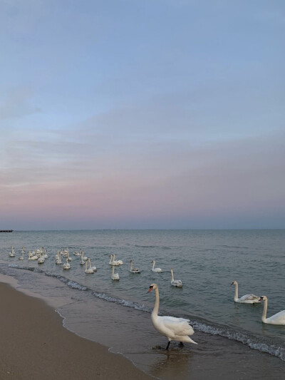 海森