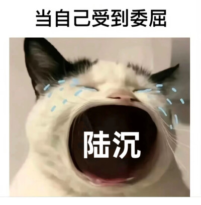 自制光夜表情包