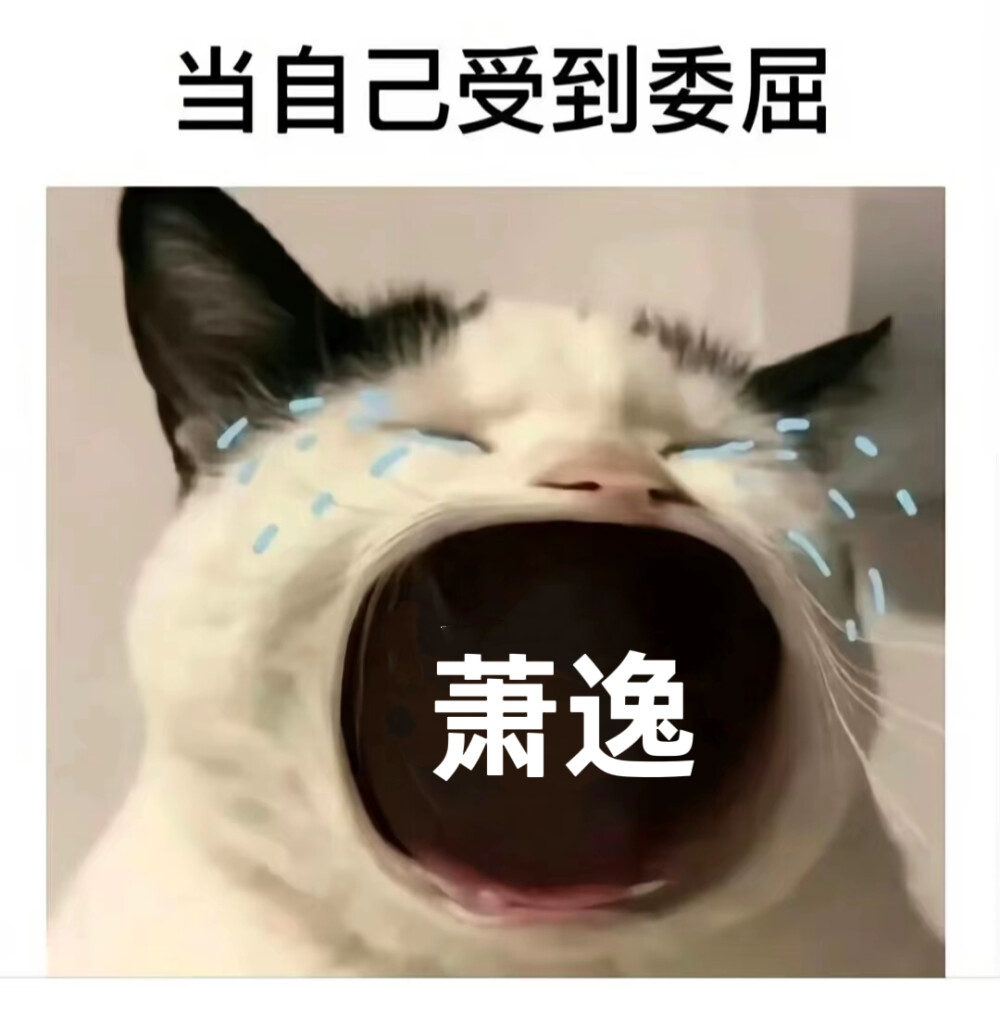 自制光夜表情包