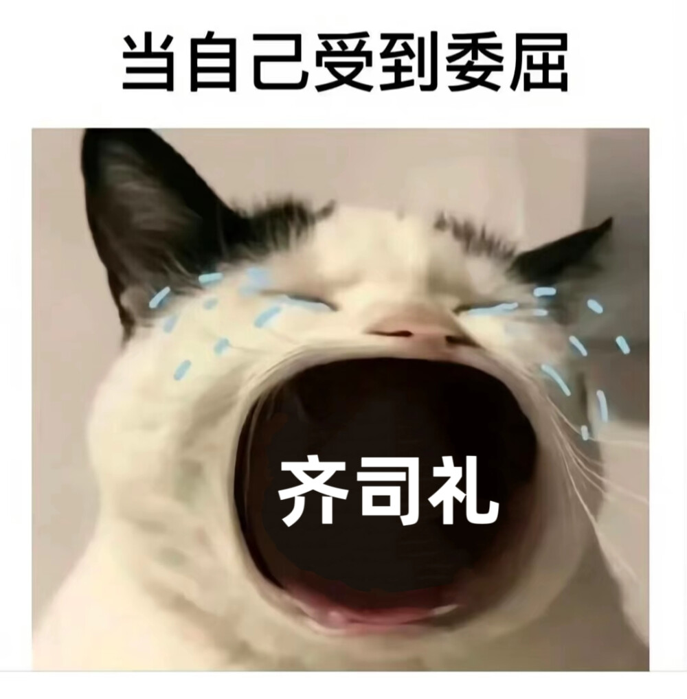 自制光夜表情包