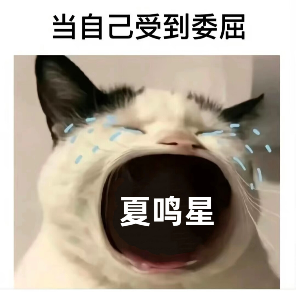 光夜表情包