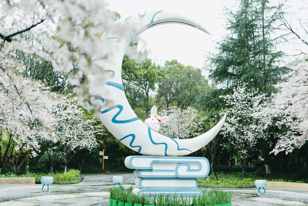 这个春天我没有遗憾
摄影：洪小漩
出镜：菲比
那日，是周五，下着雨，温度还低。这些要素聚在一起，给我拼凑出一个相对不那么熙攘的少年儿童公园。
雨水打落一地樱花，地上仿佛蒙上了一层薄薄的雪。
菲比带着自己心爱的三轮车，在樱花树下登得开开心心。
她开心，我就开心。
今年的樱花，我们没有错过，好幸运。
