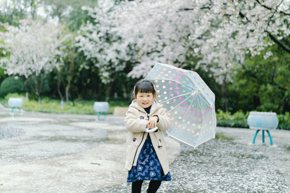 这个春天我没有遗憾
摄影：洪小漩
出镜：菲比
那日，是周五，下着雨，温度还低。这些要素聚在一起，给我拼凑出一个相对不那么熙攘的少年儿童公园。
雨水打落一地樱花，地上仿佛蒙上了一层薄薄的雪。
菲比带着自己心爱的三轮车，在樱花树下登得开开心心。
她开心，我就开心。
今年的樱花，我们没有错过，好幸运。
