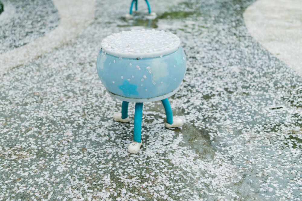 这个春天我没有遗憾
摄影：洪小漩
出镜：菲比
那日，是周五，下着雨，温度还低。这些要素聚在一起，给我拼凑出一个相对不那么熙攘的少年儿童公园。
雨水打落一地樱花，地上仿佛蒙上了一层薄薄的雪。
菲比带着自己心爱的三轮车，在樱花树下登得开开心心。
她开心，我就开心。
今年的樱花，我们没有错过，好幸运。
