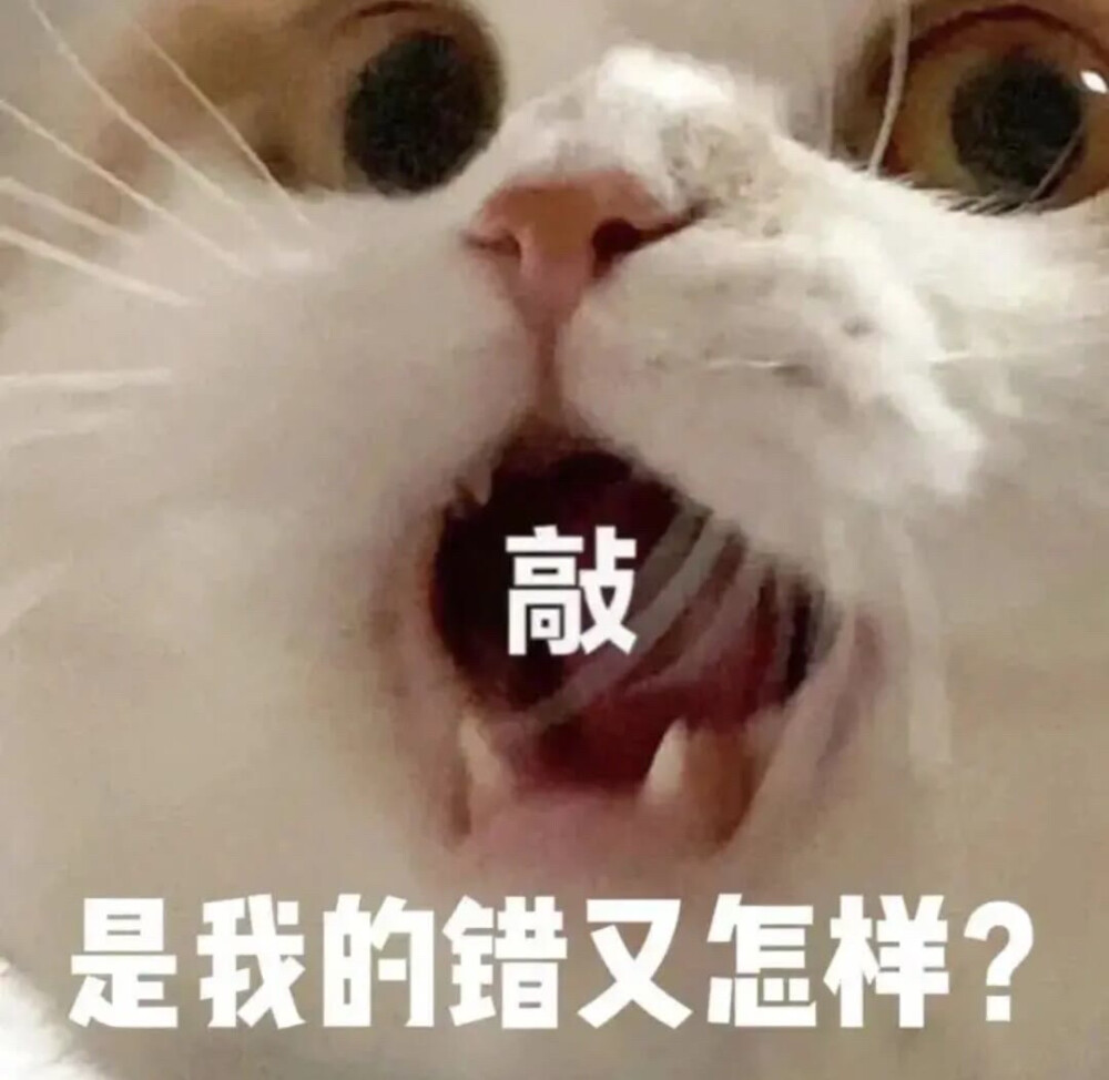 表情包自用 来源快乐小手