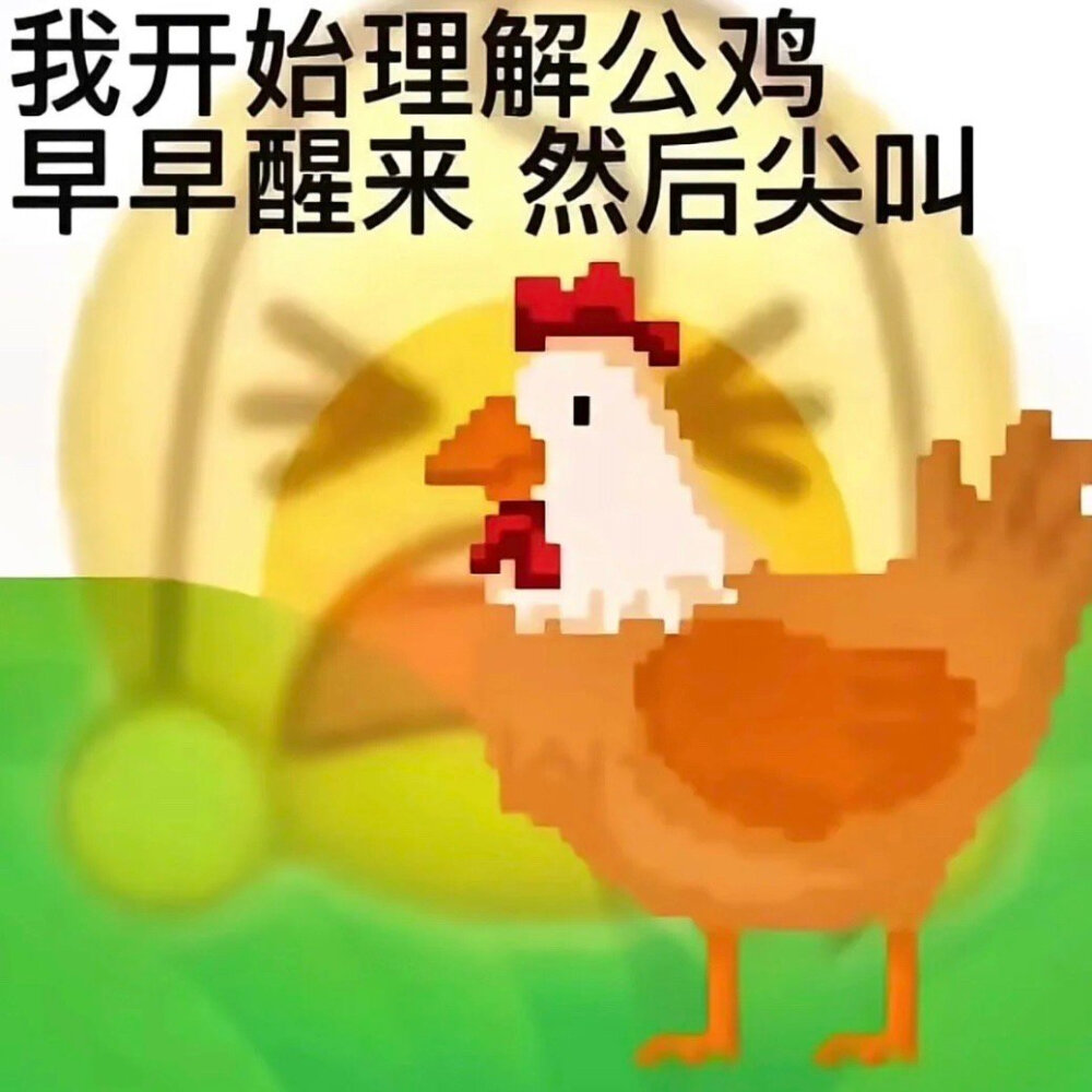 表情包