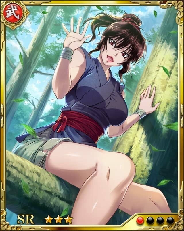 甲贺忍法帖 胡夷