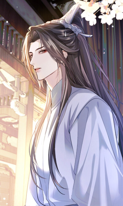 二哈和他的白猫师尊