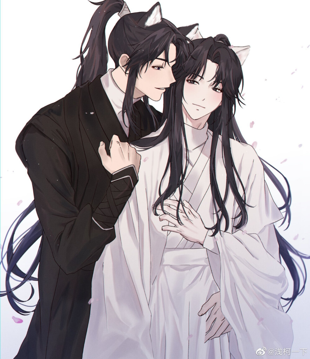 二哈和他的白猫师尊