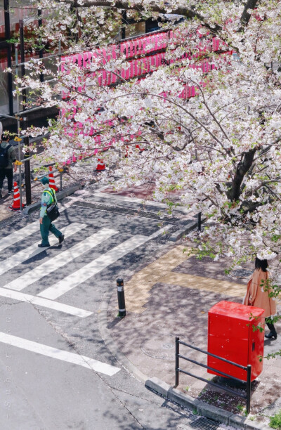 日系壁纸
原创：Y-2