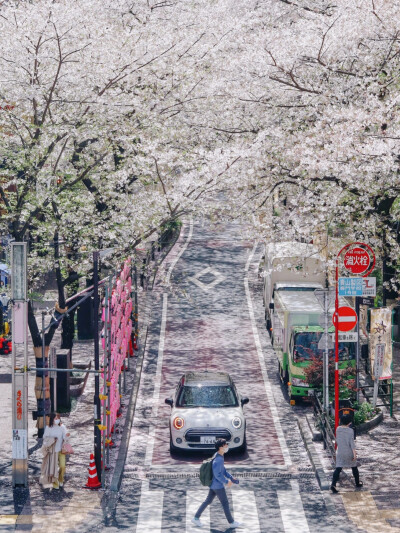 日系壁纸
原创：Y-2