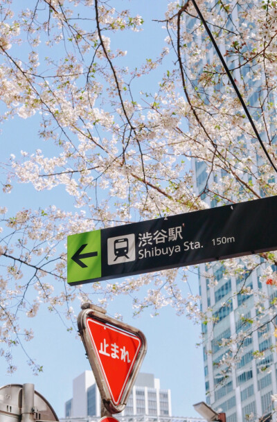 日系壁纸
原创：Y-2