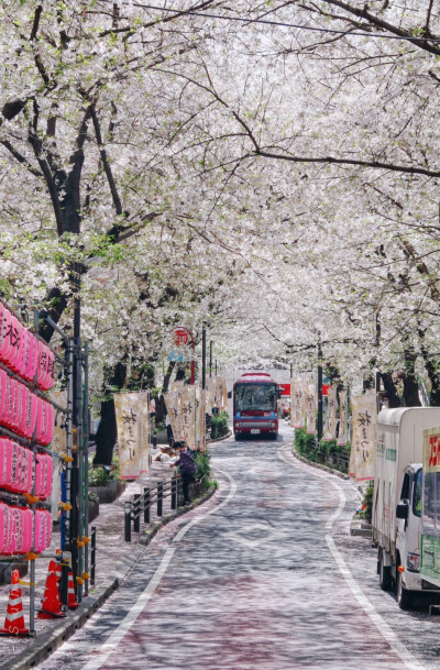 日系壁纸
原创：Y-2