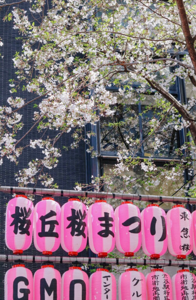 日系壁纸
原创：Y-2