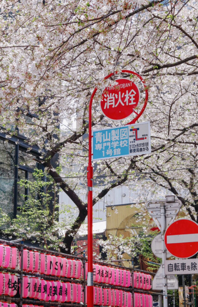 日系壁纸
原创：Y-2