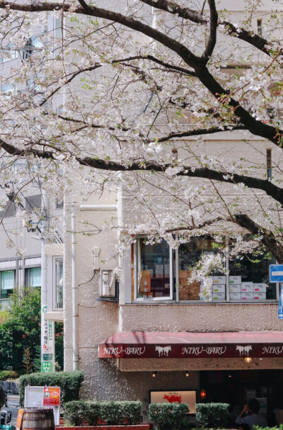 日系壁纸
原创：Y-2