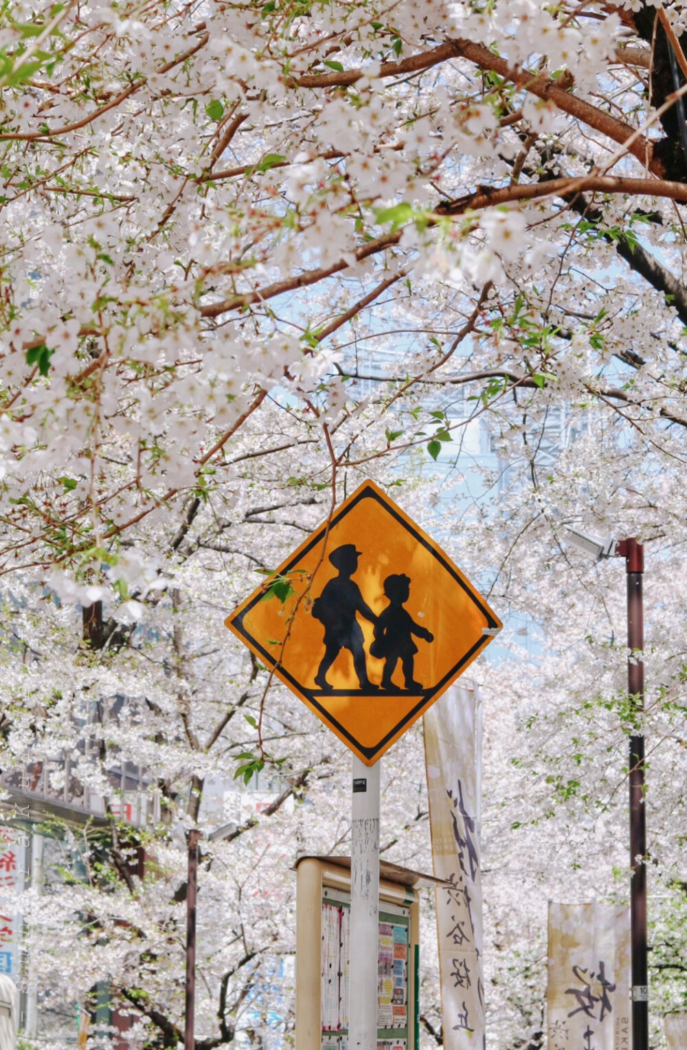 日系壁纸
原创：Y-2