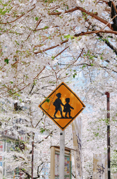 日系壁纸
原创：Y-2