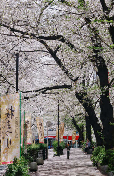 日系壁纸
原创：Y-2