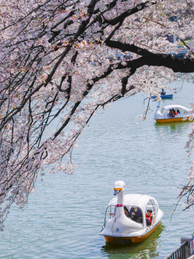 日系壁纸
原创：Y-2