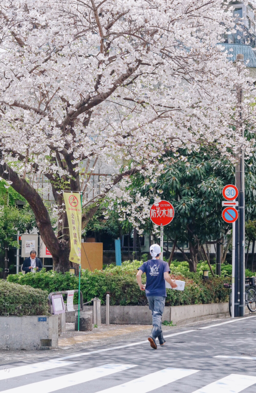 日系壁纸
原创：Y-2