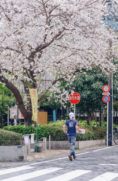 日系壁纸
原创：Y-2