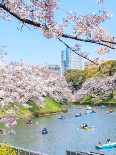 日系壁纸
原创：Y-2