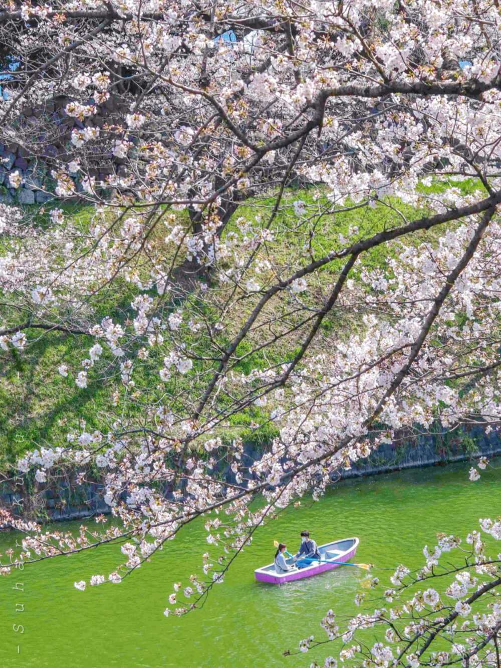 日系壁纸
原创：Y-2