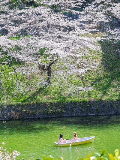 日系壁纸
原创：Y-2