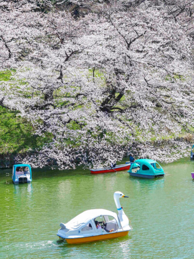 日系壁纸
原创：Y-2