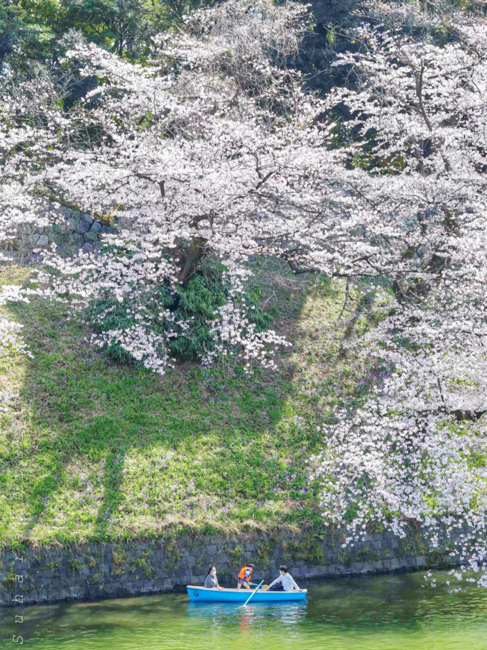 日系壁纸
原创：Y-2