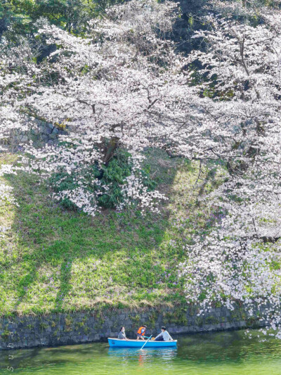 日系壁纸
原创：Y-2