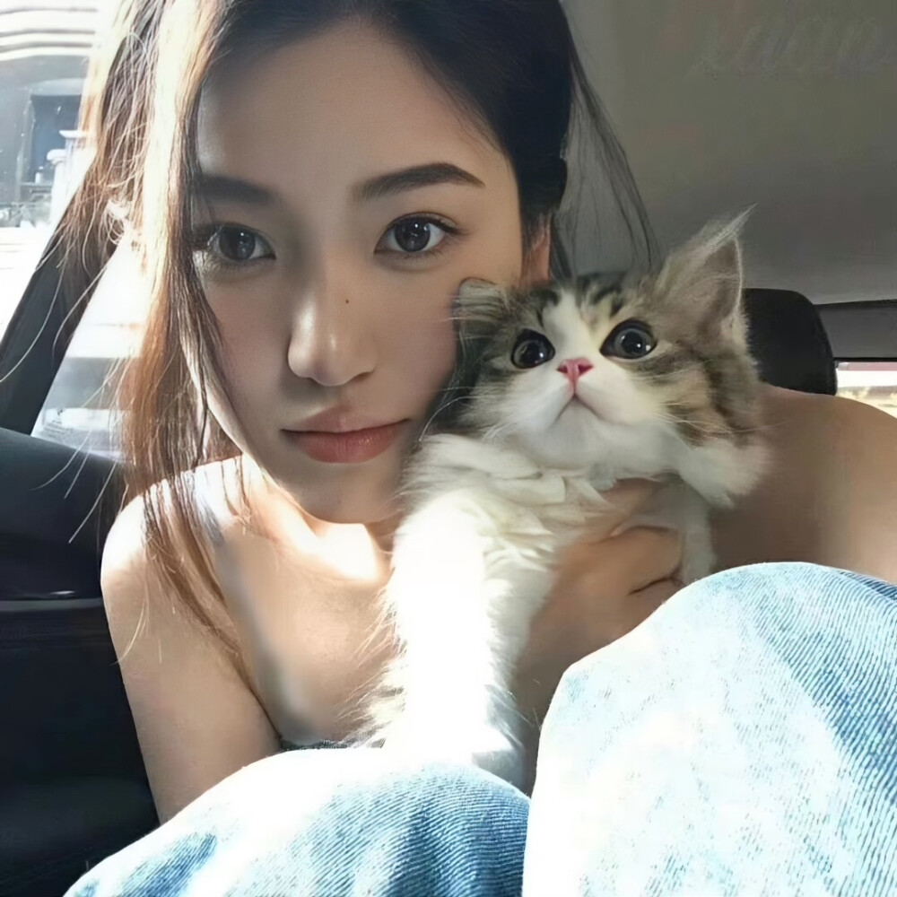 小猫咪能给你什么呢 小猫咪自己也什么都没有