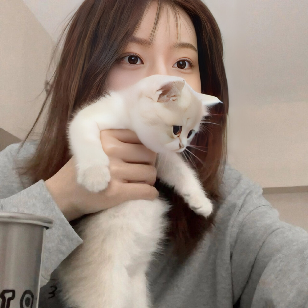 小猫咪能给你什么呢 小猫咪自己也什么都没有