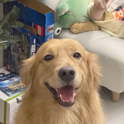 “心不诚拿什么说爱”