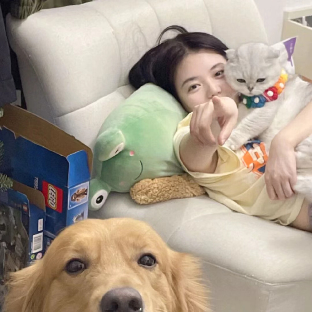 “心不诚拿什么说爱”