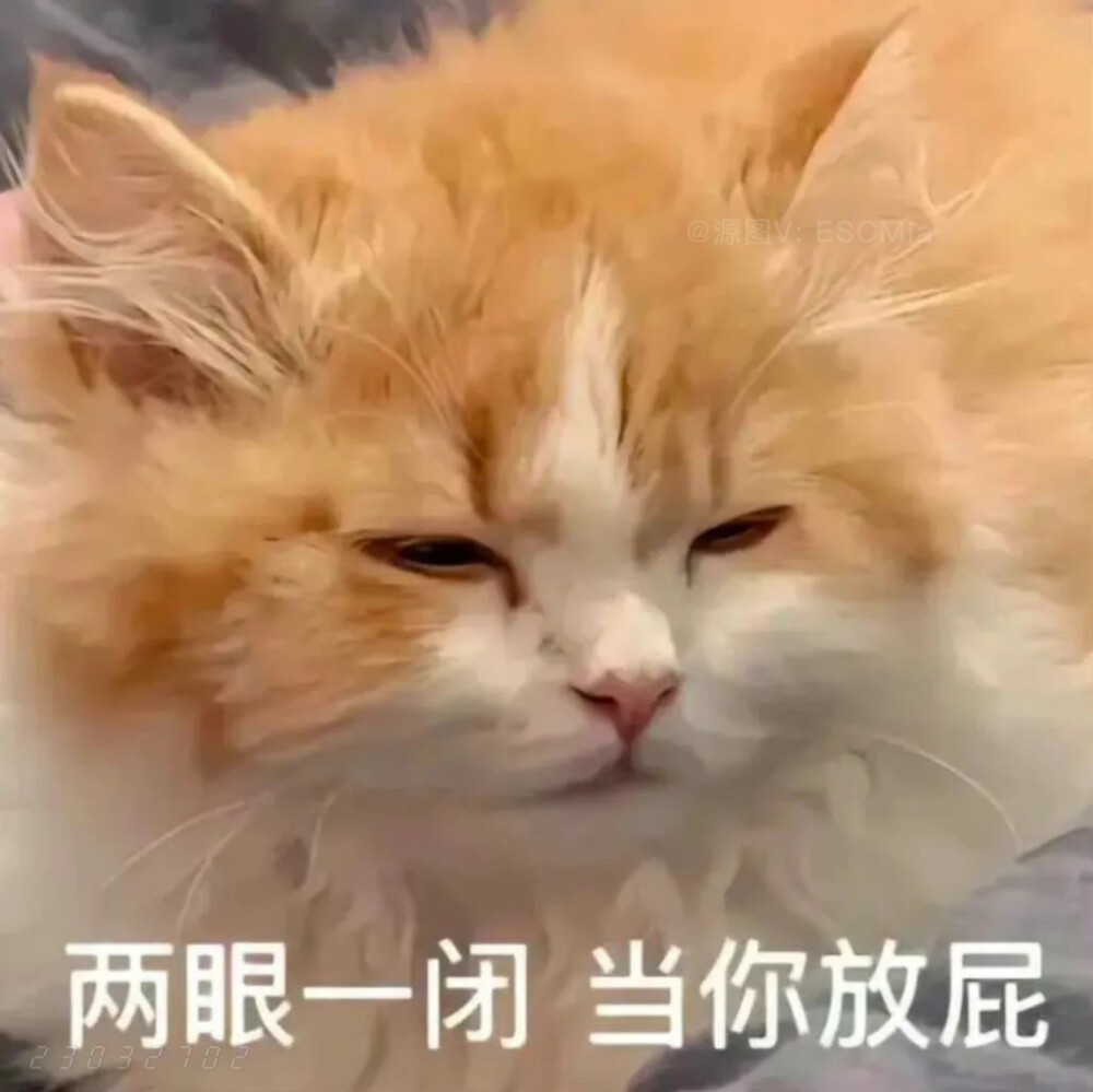 Share｜可爱猫咪表情包
-
梦想还是要有的 不然喝多了你跟别人聊啥