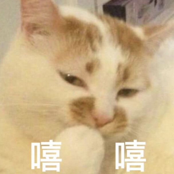 小猫咪