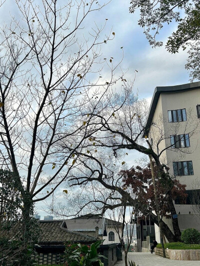 背景图
