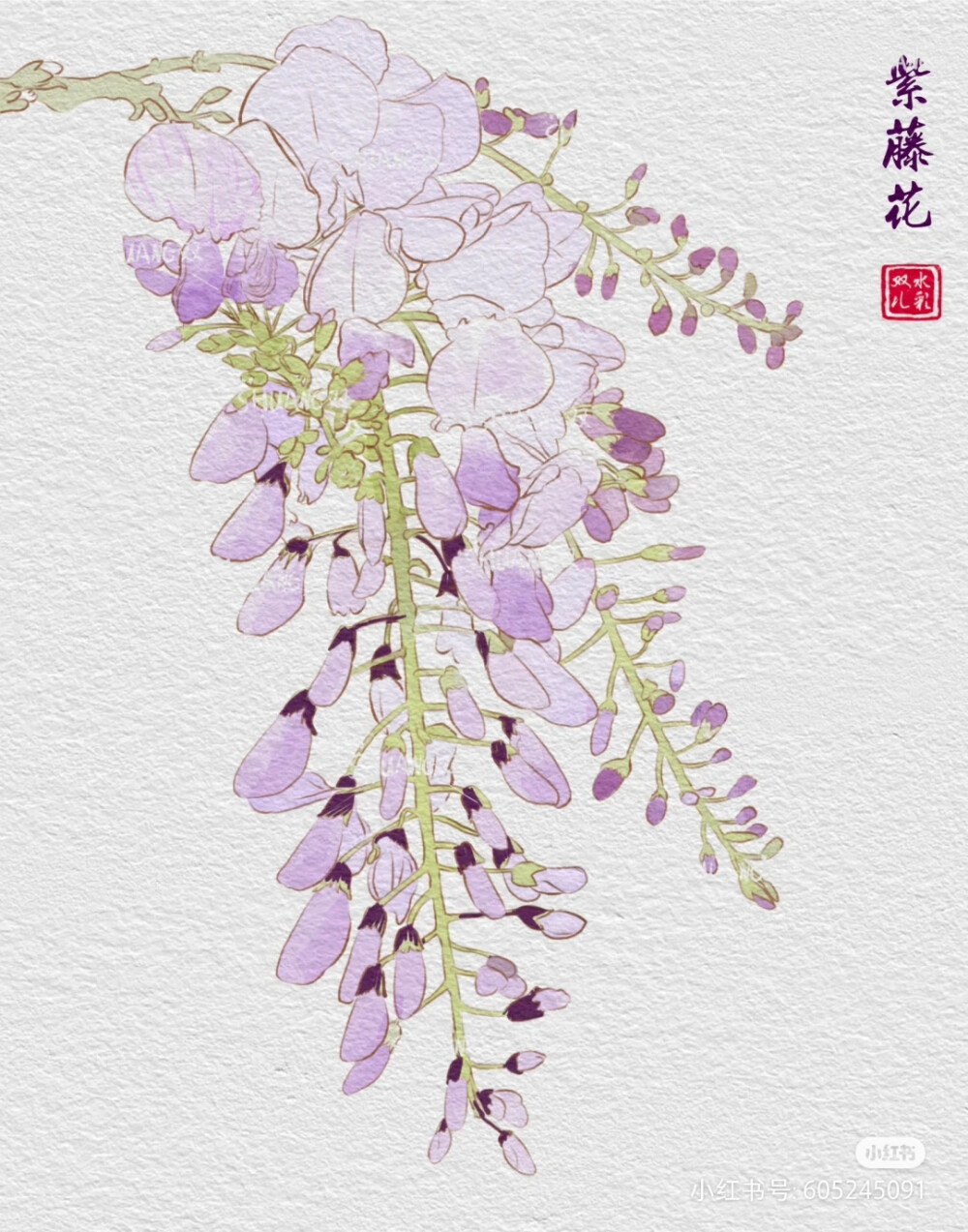 花草