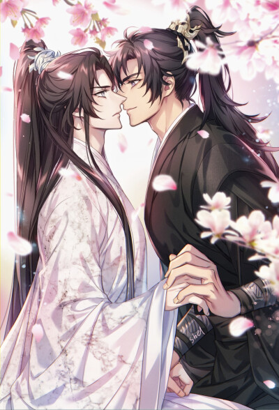 二哈和他的白猫师尊