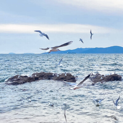  飛島骨。