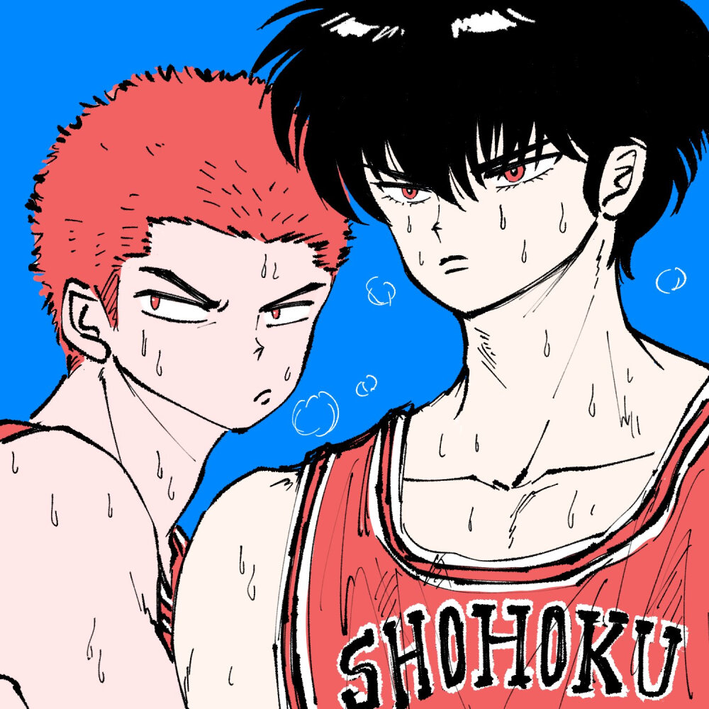 #SLAMDUNK
流花