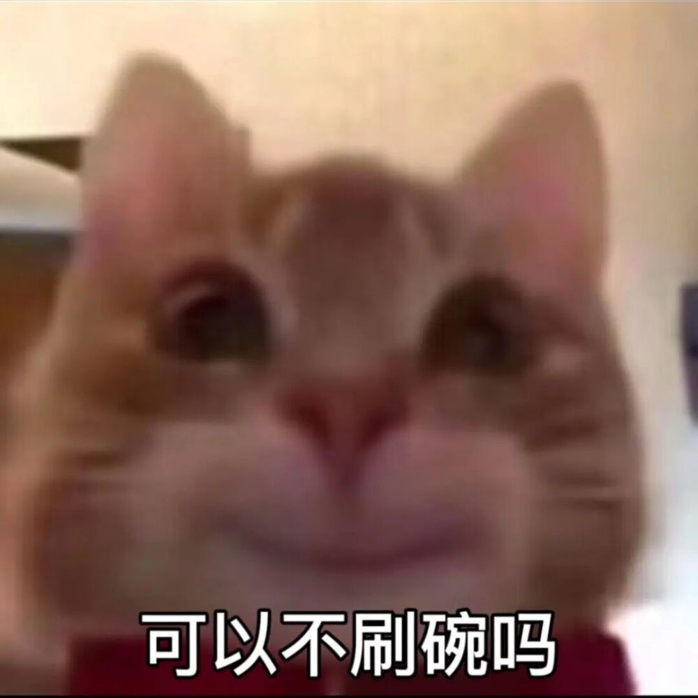 歪嘴小猫表情包