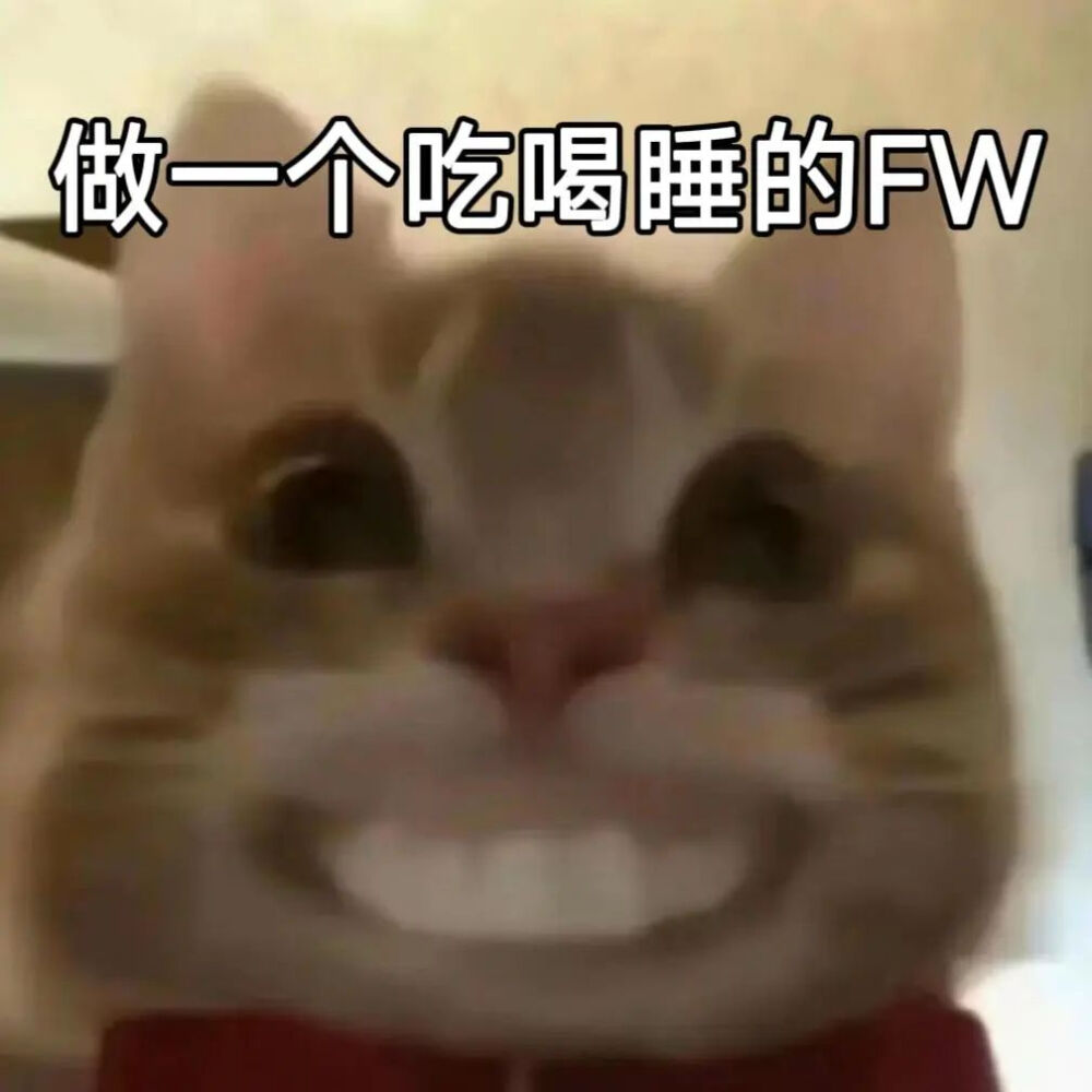 歪嘴小猫表情包