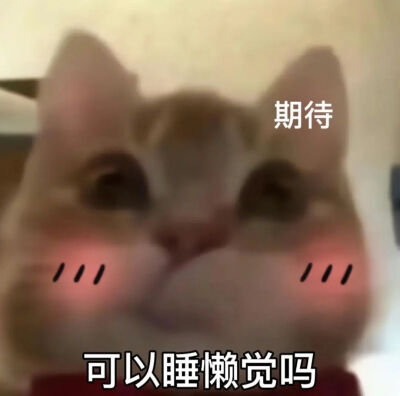 歪嘴小猫表情包