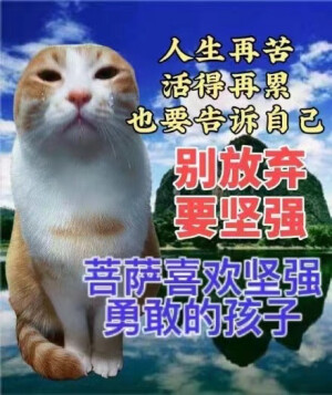 开心快乐(ง •̀_•́)ง