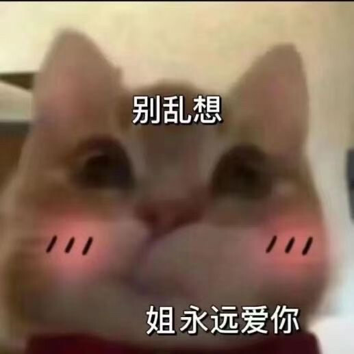 表情包