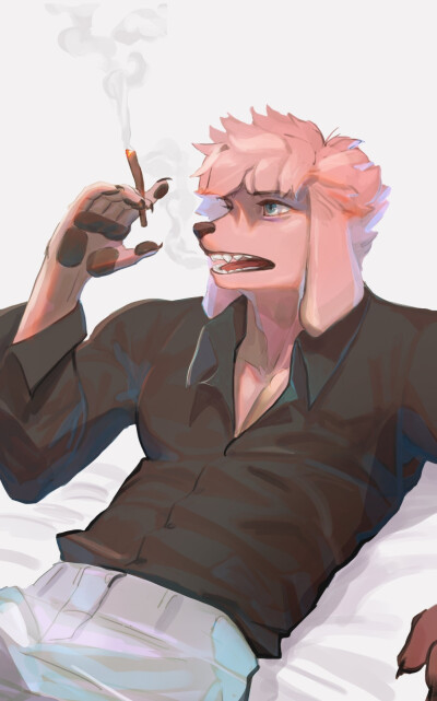 兽人，画师推荐，作者@kimdog_（Twitter）